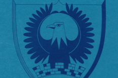 Raymond College Crest